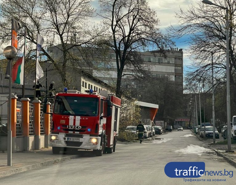 Още 18 сигнала са подадени днес за паднали клони в Пловдив