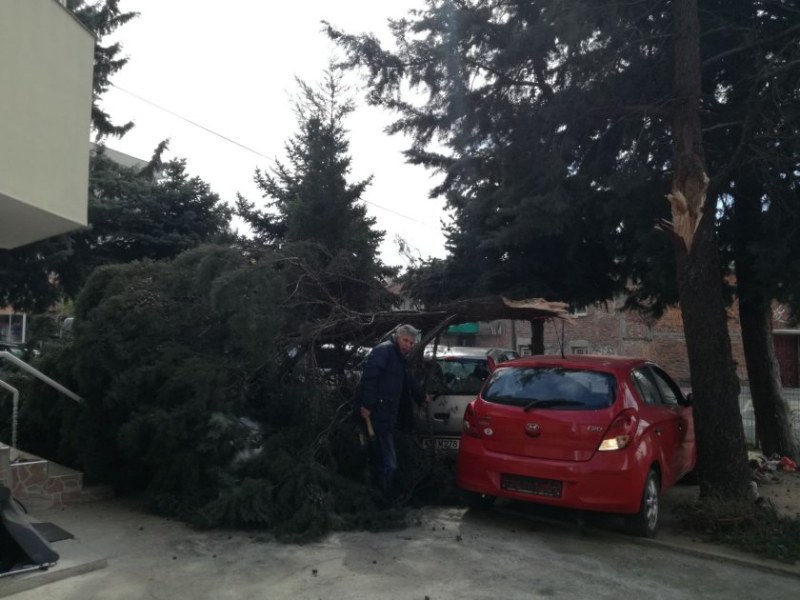 Силният вятър в Пазарджик счупи витрина на магазин, дърво падна и върху коли