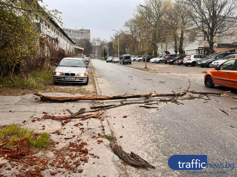 Силният вятър в Пловдив продължава, остава в сила жълт код за 9 области от страната