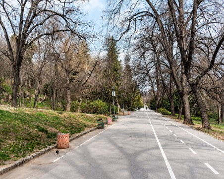 Вятърът в Пловдив стихва, температурите се повишават