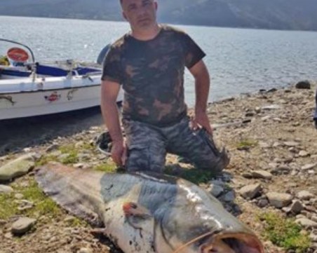 Рибар улови гигантски сом след тричасова борба