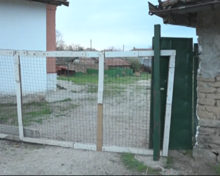 Кметът на Долна Оряховица: Имах сигнали за агресивните кучета, но са ми вързани ръцете