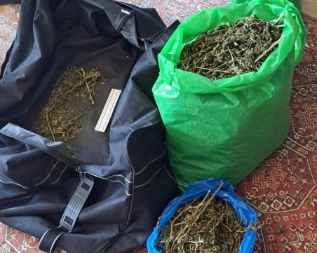 Повдигнаха обвинения на 9 наркодилъри, замесени в търговия с марихуана