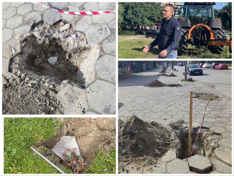 Засаждат нови дървета в Пловдив – чудесно, но в нарушение! Това ли е начинът?