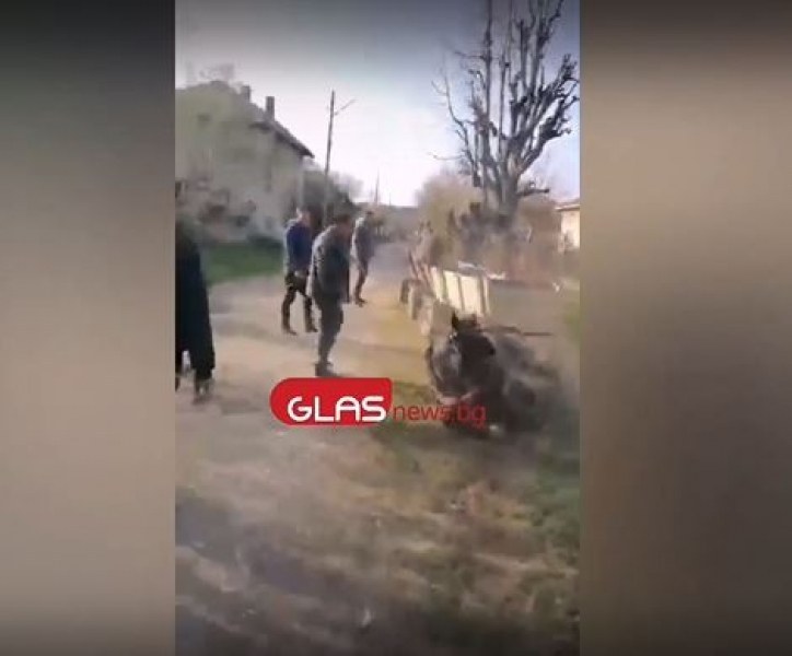 Роми измъчват коне! Бият ги, за да видят кой е по-силен