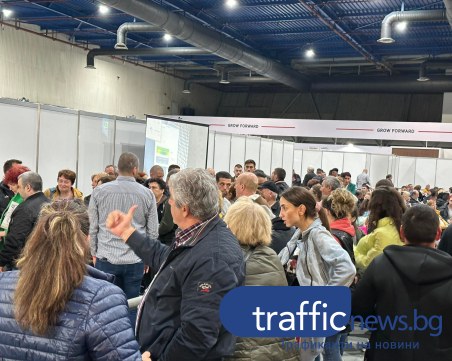 Наблюдатели от чужбина се изумиха от изборите в Пловдив