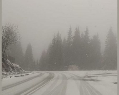 Сняг вали на Превала и в Пампорово