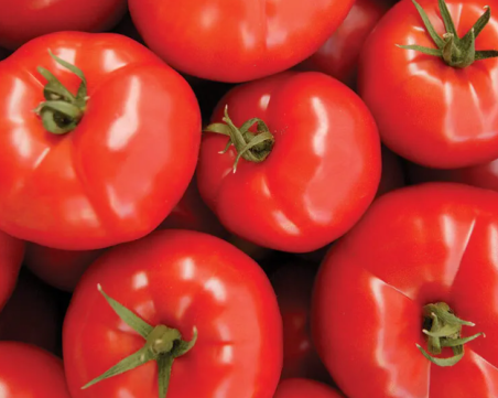 Доматите в Румъния достигат 26 лева за килограм