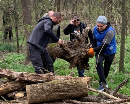Браво, Пловдив! 30 камиона дърва са събрани в 