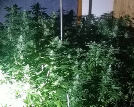 Четирима от престъпната група, хваната с наркотици за 72 хиляди лева, обжалваха арестите си