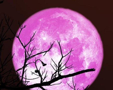 Лунен календар: Вижте най- подходящите дати за подстригване през пролетта