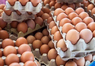 Над 302 хил яйца от България са били задържани от