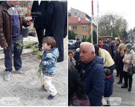 От малки до големи: Пловдивчани се наредиха на опашки за върбови клонки