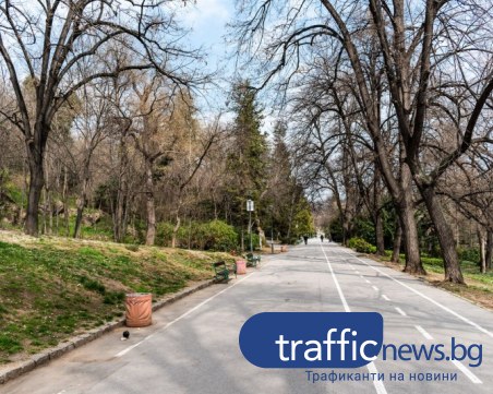 Опасно време в Пловдив: Обявиха жълт код за силен вятър