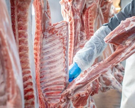 Голямо количество агнешко месо с неясен произход е установено във Велинград