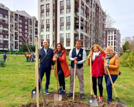Нови медоносни дръвчета засадиха в „Тракия”