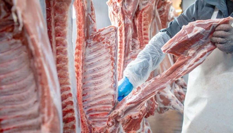 Голямо количество агнешко месо с неясен произход е установено във Велинград