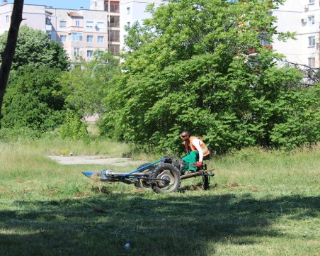 Над 200 косачи от „Градини и паркове