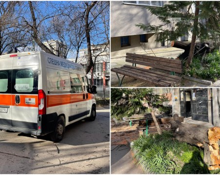 С ортопедичен колан и психотравма: Детето, върху което се стовари дърво в Пловдив, се върна в училище