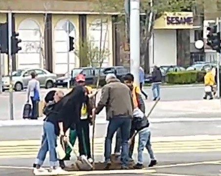 Феновете на Ботев засадиха дръвчета пред Колежа