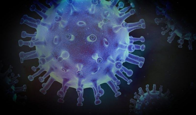 Изчислиха 27,5% вероятност от нов вирус, който ще причини пандемия
