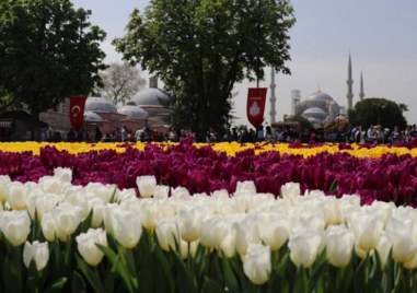 Десетки паркове и градини в мегаполиса Истанбул тези дни приличат