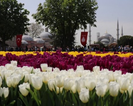 Милиони цветя разцъфтяха в Истанбул за Фестивала на лалетата