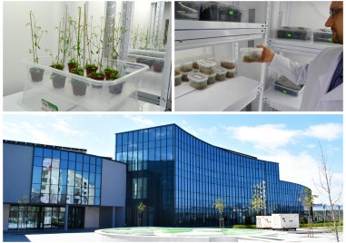 Центърът по растителна системна биология и биотехнология ЦРСББ в Пловдив