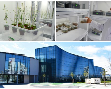 Пробив! Центърът за върхови постижения в Пловдив патентова модел за размножаване на възкръсващо цвете