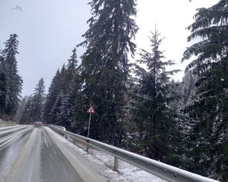 Проходите в Родопите побеляха