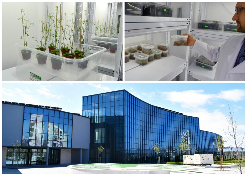 Центърът по растителна системна биология и биотехнология (ЦРСББ) в Пловдив
