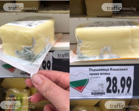 Пловдивчанка: 29 лв./кг кашкавал, а стои мухлясал във витрината на Кауфланд