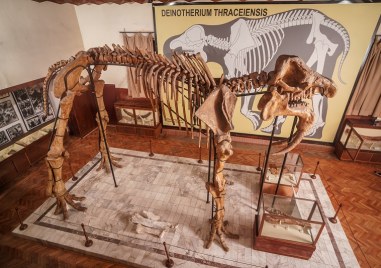 Палеонтологичният музей Димитър Ковачев филиал на Националния природонаучен музей при