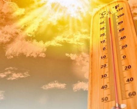 Последните 8 години са били най-топлите за света от 1850г насам