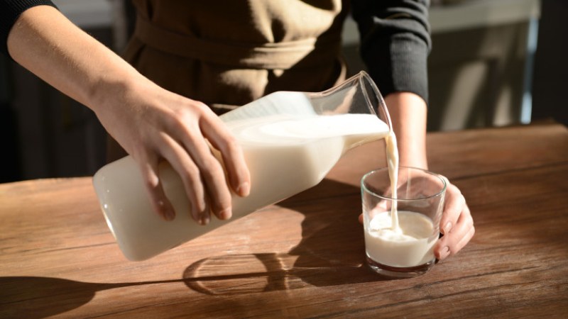 Вредно или полезно е прясното мляко за организма на възрастните?