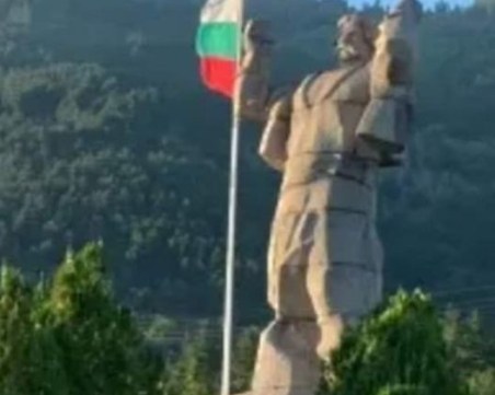 Буре мечката: Истинската история на снимката, която буди смях в социалните мрежи