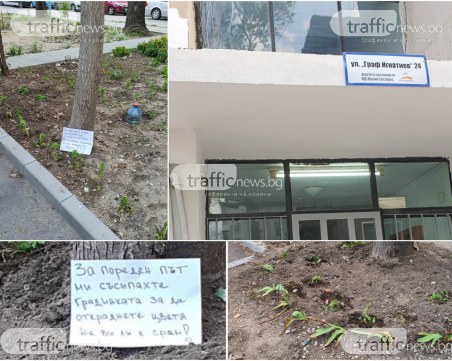 Неандерталци! Пловдивчани в повече крадат цветя от градина в центъра на града