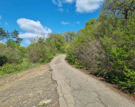 Арестуваният тийнейджър за убийството в Слънчев бряг, разследван и за грабеж