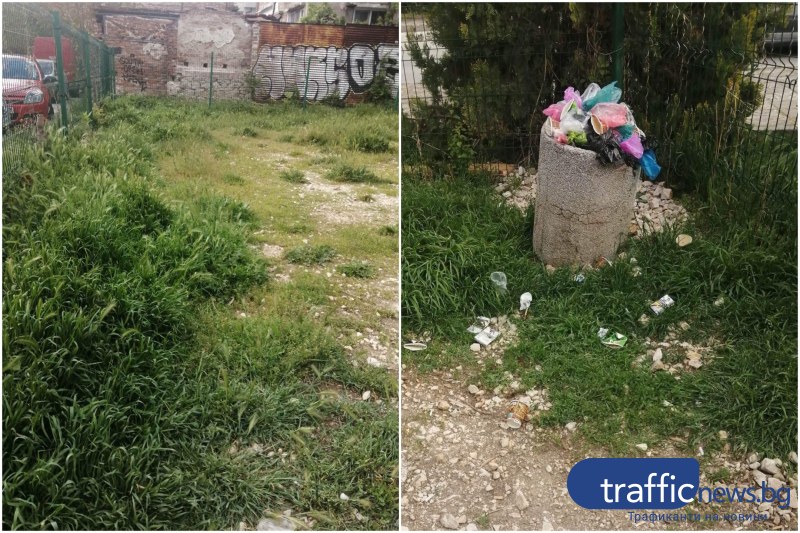 Кучешка площадка в Пловдив е тотално занемарена. Това твърдят читатели