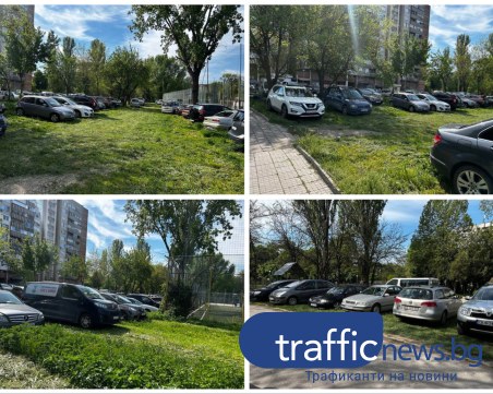 Спортно събитие превърна зелени площи в Пловдив в паркинг