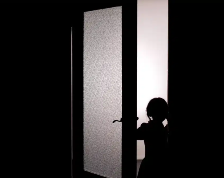 Странния експеримент, в който 20 деца бяха оставени сами в две къщи