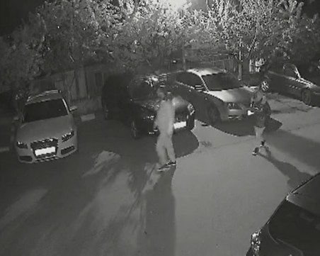 Вандали прекършиха клони на дърво в Асеновград