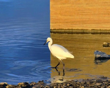 Невероятен кадър взриви мрежите