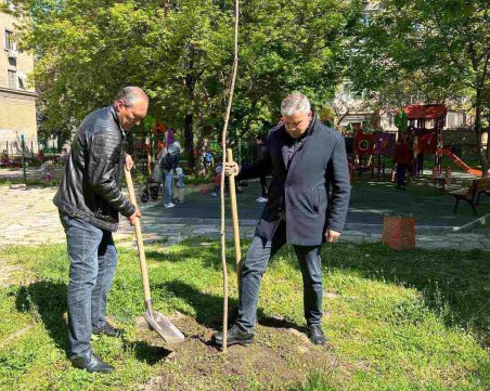 Поредна залесителна акция 