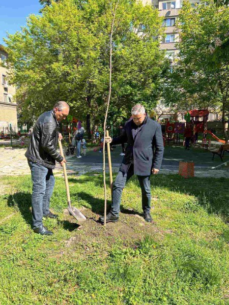 Поредна залесителна акция се проведе на територията на район Северен``.Прочетете