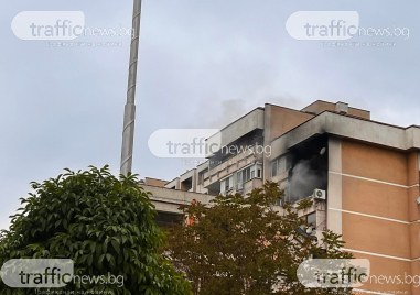 Пожарът лумнал от апартамент на бул Мария Луиза са обхванали
