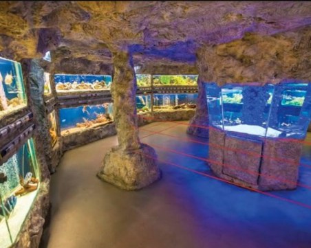 Еуфория за Природонаучния музей в Пловдив! Над 2400 души посетиха залите за 3 дни