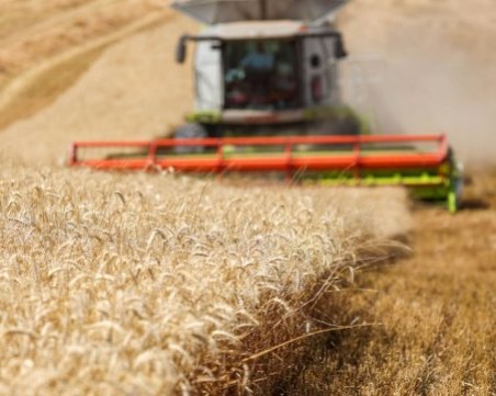 Официално: ЕК забрани вноса на украинско зърно в 5 държави