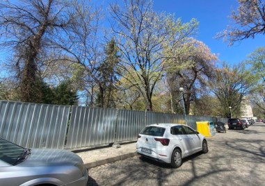 Над 100 дървета ще бъдат премахнати при ремонта на Дондуковата