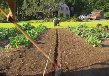 Градинарството е приятно хоби което може да замести ежедневните тренировки